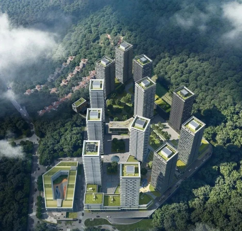 万星林花园